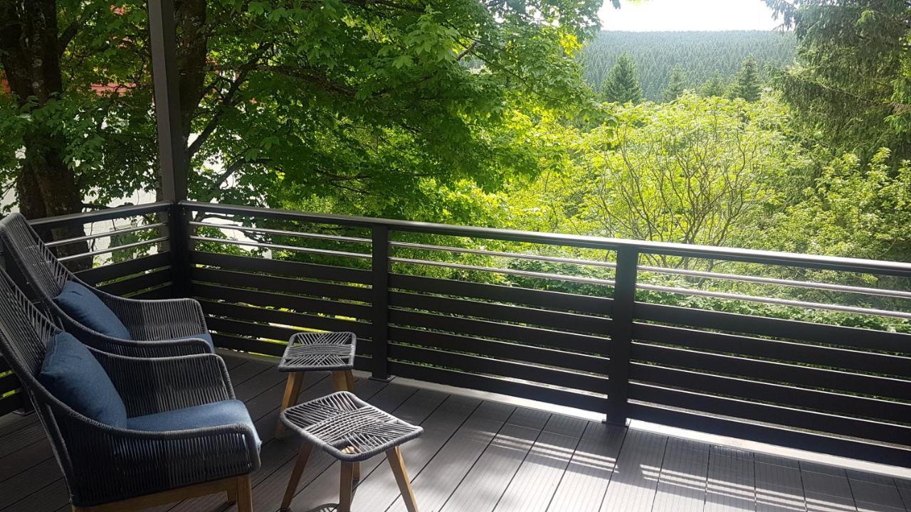 Pension & Ferienwohnung Oberhof 810 M المظهر الخارجي الصورة